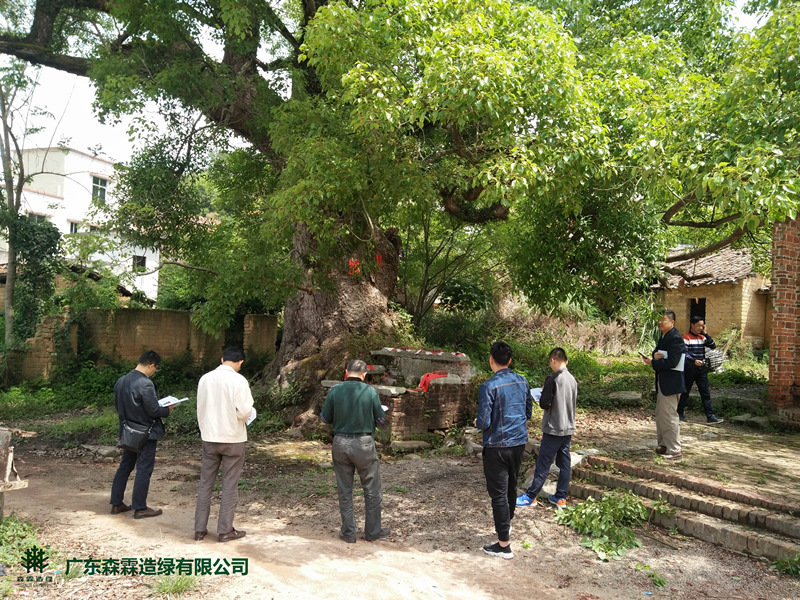 �Ƿ�����(�й���)-�ٷ���վ