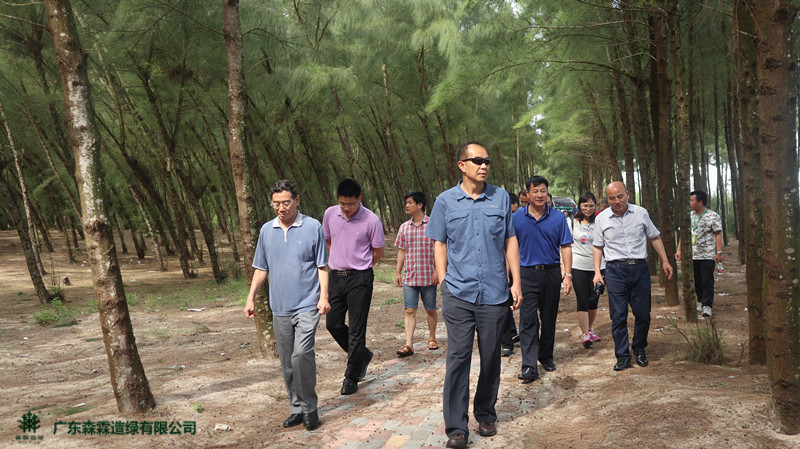 �Ƿ�����(�й���)-�ٷ���վ