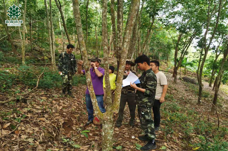 �Ƿ�����(�й���)-�ٷ���վ