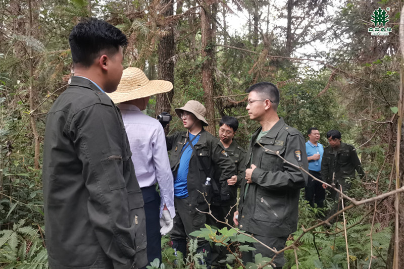 ·Ç·²¹ú¼Ê(ÖйúÇø)-¹Ù·½ÍøÕ¾