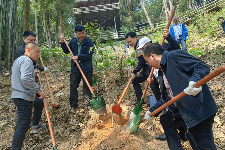 �Ƿ�����(�й���)-�ٷ���վ