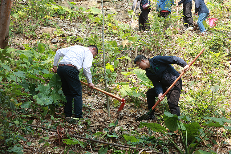 �Ƿ�����(�й���)-�ٷ���վ