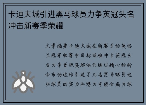 卡迪夫城引进黑马球员力争英冠头名冲击新赛季荣耀